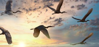 Data Migration from Autodesk Vault to SOLIDWORKS PDM